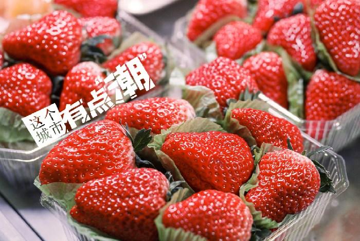 丹東：這一口鮮甜，開啟冬日“莓”好時光