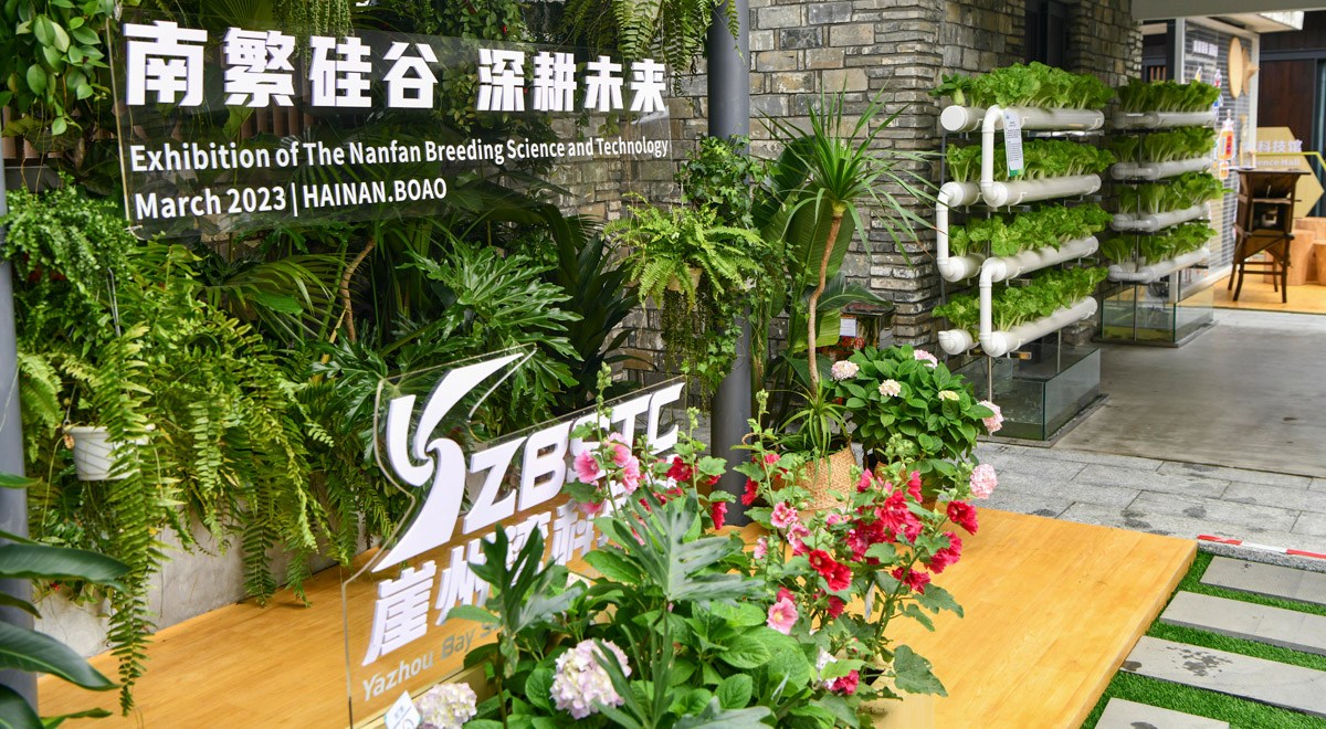 三亞攜南繁果實(shí)、深海利器亮相博鰲亞洲論壇年會(huì)