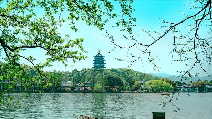 江山如此多嬌 | 西湖美景，八月天吶