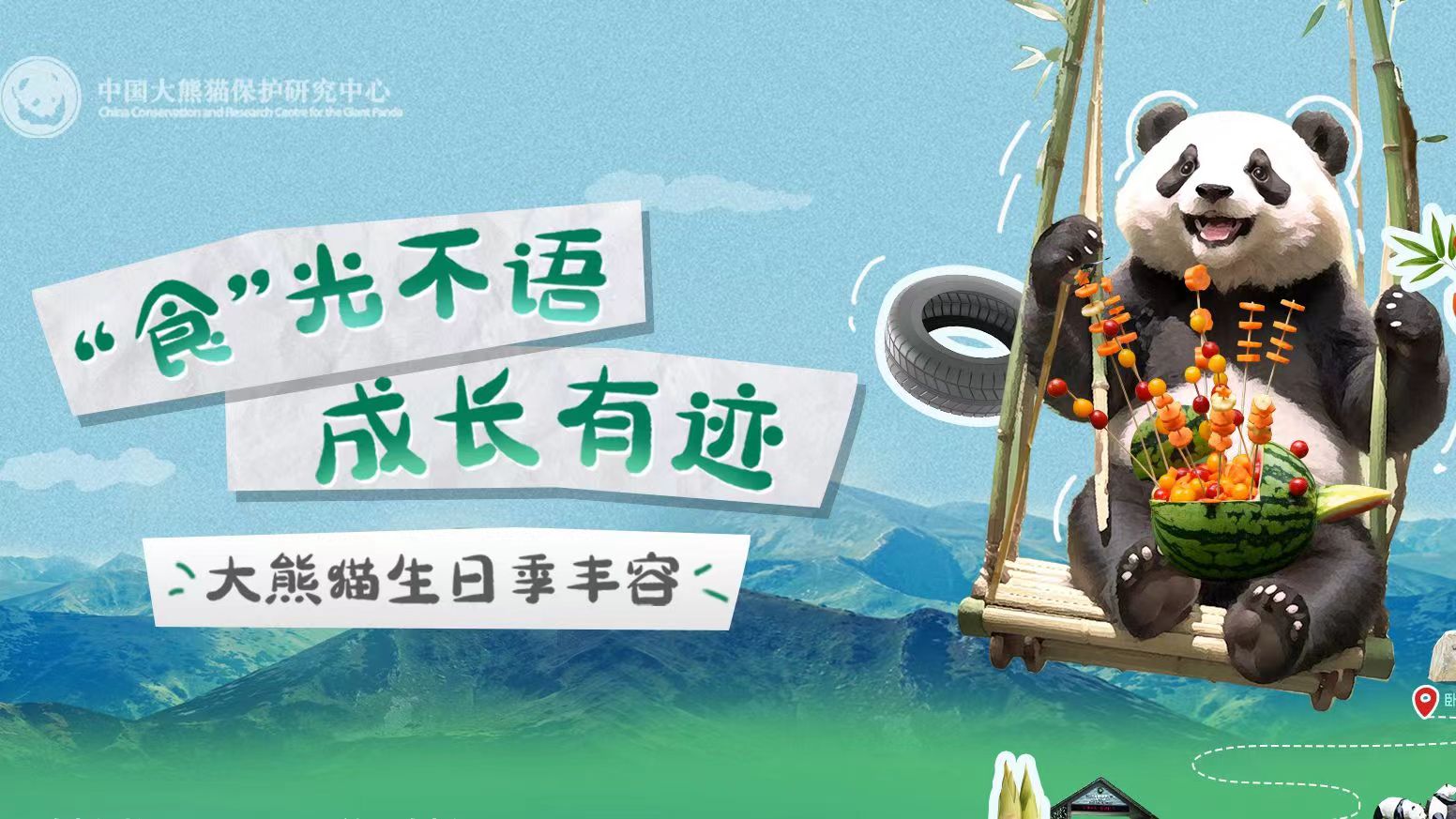  大熊貓也過中秋節(jié)？一起來看國寶的中秋禮物 