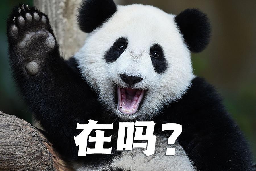 【世界微笑日特刊】嘿嘿，今天你笑了嗎？